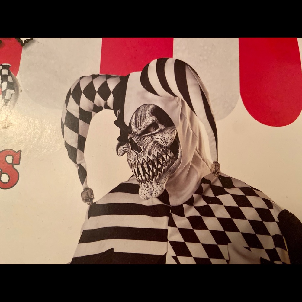 Fool / Jester / Skull Halloween costume